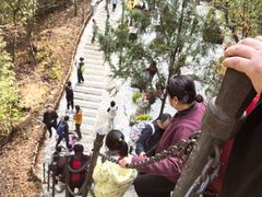 -少华山国家森林公园