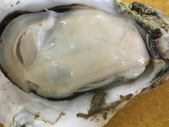 -蚝专家(北滘店)
