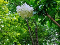 -大龙山(地铁站)