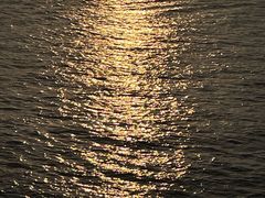 -演武大桥观景平台