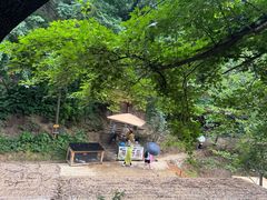 -栾川竹海野生动物园