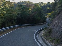 -广州白江湖森林公园