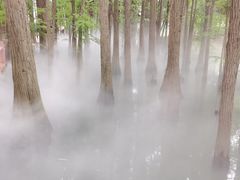-东湖落雁景区
