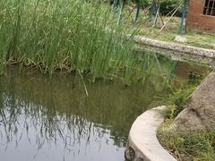 -白水寺森林公园