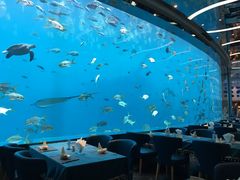 -瑞德姆美人鱼海底演艺主题餐厅(亚龙湾店)