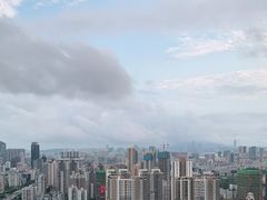 -板樟山森林公园