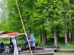 -溱湖国家湿地公园