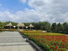 -长春公园(普阳街道)