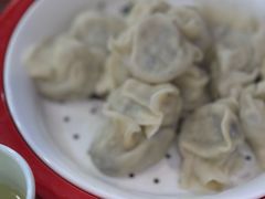 手工水饺-土菜水饺村(宁夏路店)