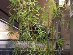 -顺香居·老字号湖北菜(江汉路店)