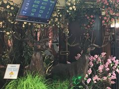 -新白鹿餐厅(悠迈生活广场店)