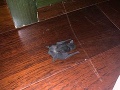 -三清山希尔顿度假酒店