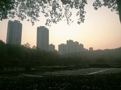 -重庆彩云湖湿地公园