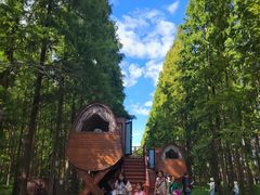 -黄海国家森林公园