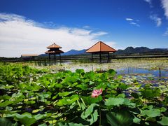 -青龙湖公园