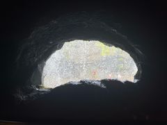 -新加坡飞禽公园