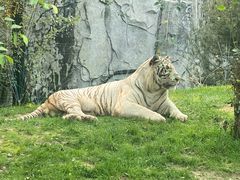 -北京野生动物园