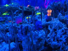 -成都浩海立方海洋公园