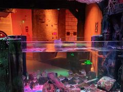 -沈阳海洋探索中心