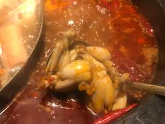 -销魂美蛙鱼头火锅(上海首店)