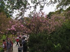 -南山植物园