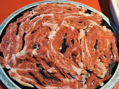 -二荆条·蜀鲜汇城市森林火锅