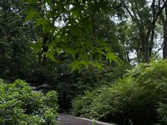 -虎跑公园