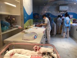 点击看大图 -中法母婴月子中心(南湖创始店)