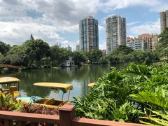 -晓港公园