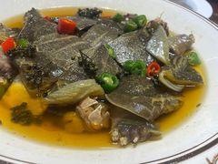 -龙悦湾酒家·八阵鱼生·渔人码头店