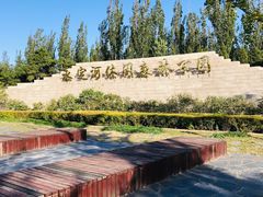 -永定河休闲森林公园