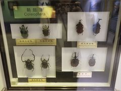 -上海昆虫博物馆