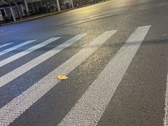 -马小毛老上海里脊肉(南翔印象城店)