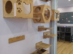-猫咪派对(江南西店)