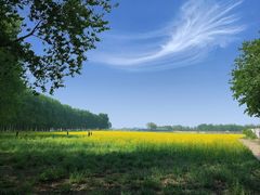 -天津武清北运河郊野公园房车露营地