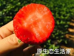 -让我们见个面(祥云小镇店)