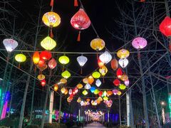 -南宫五洲植物乐园