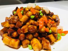 -新吉士·上海菜(浦东LCM置汇旭辉店)