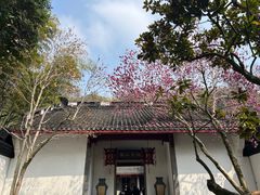 -杭州黄龙洞