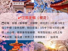 -洛阳市牡丹公园