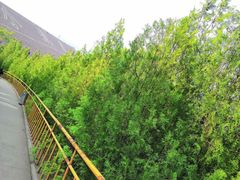 -黄河小浪底水利枢纽风景区