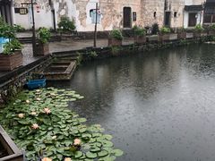 -东梓关景区村庄