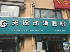 -瑞派·关忠动物医院·猫专科·犬专科(三环新城店)