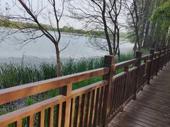 -东湖落雁景区