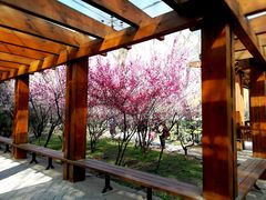 -木塔寺遗址生态公园