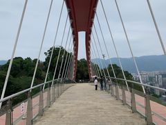 -金鸡山公园