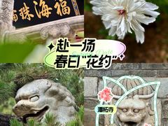 -潭柘寺景区