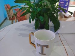 -普睿媞产后直营连锁(天鹅湖万达店)