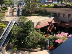 -bluefrog蓝蛙(皇庭广场店)