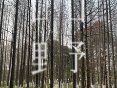 -新洲生态园